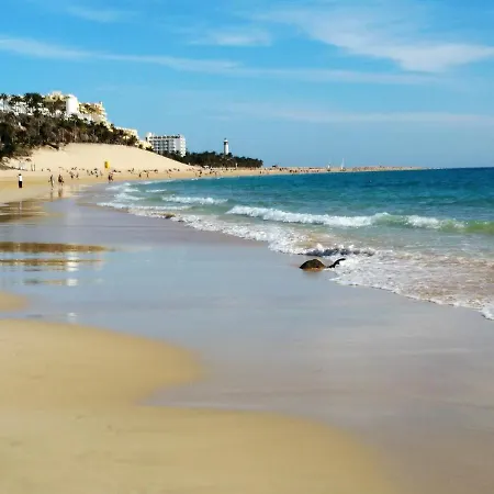 Apartmán Palm Garden *