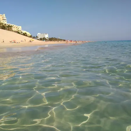 Apartmán Palm Garden