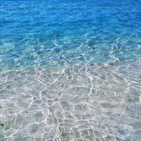 Palm Garden Apartmán