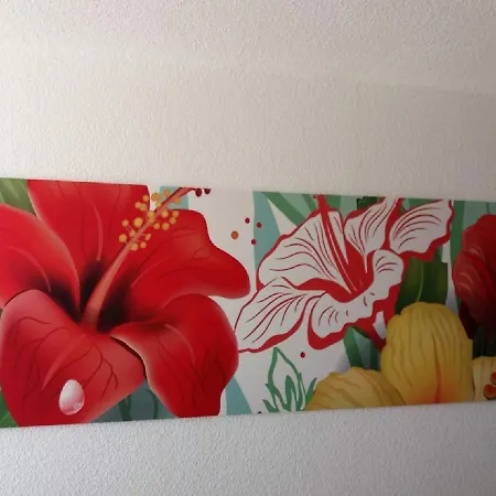 Apartmán Palm Garden Morro Jable (Fuerteventura)